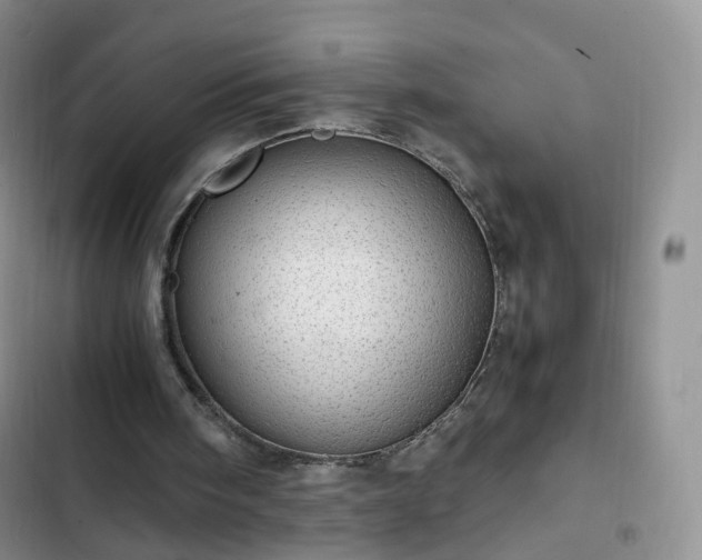 X0000102760098200808251038