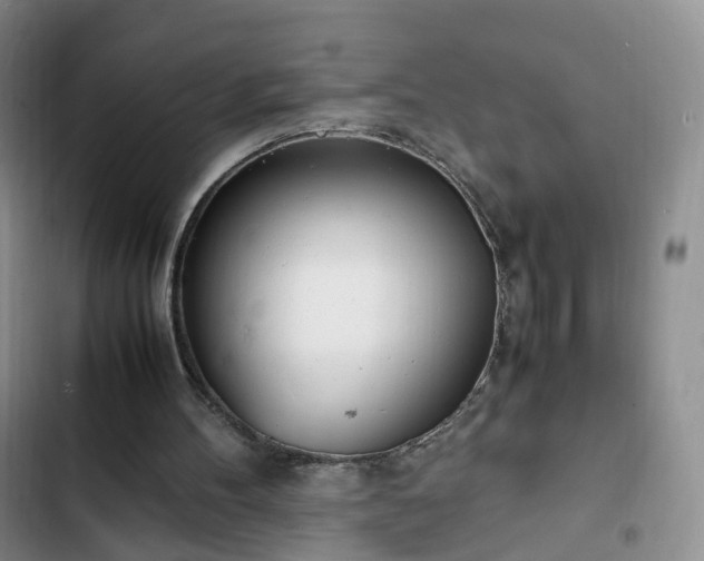 X0000102760100200808251038