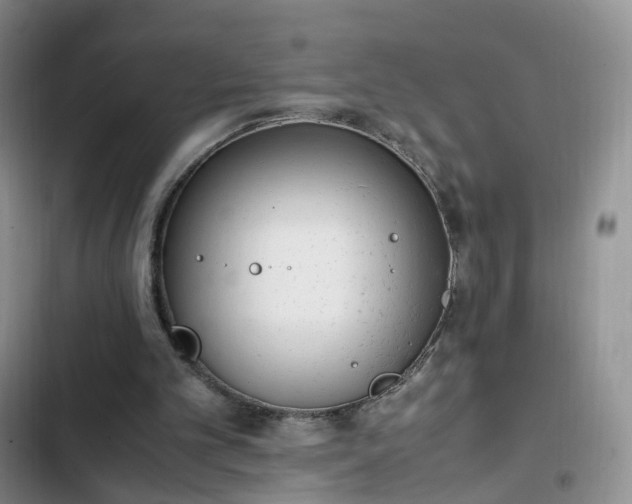 X0000102760101200808251038