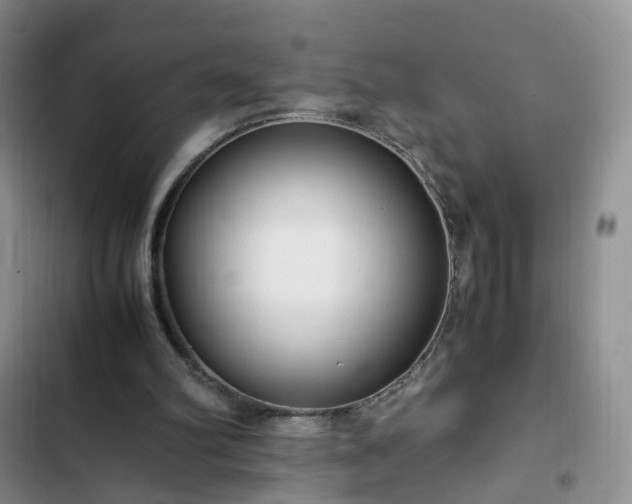 X0000102760102200808251038