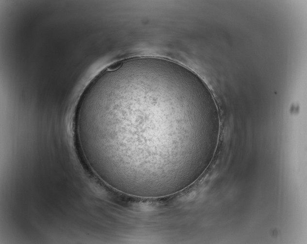 X0000102760103200808251038