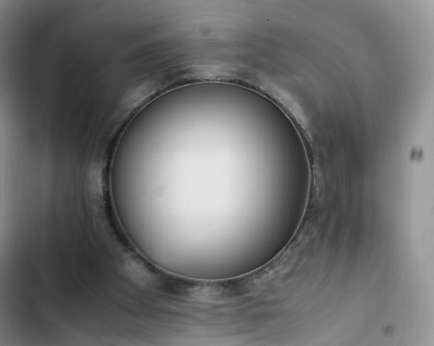 X0000102760105200808251038