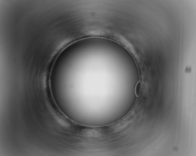 X0000102760106200808251038