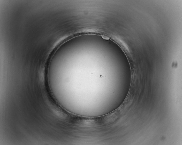 X0000102760108200808251038