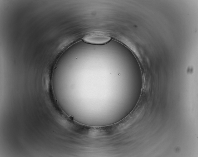 X0000102760109200808251038