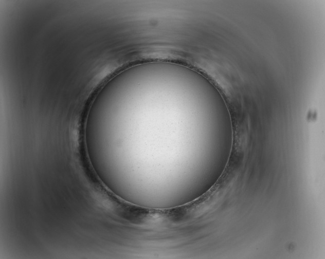 X0000102760111200808251038