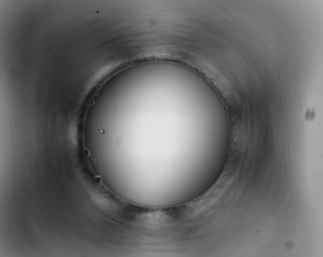 X0000102760112200808251038