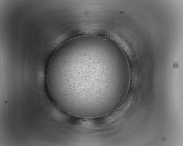 X0000102760113200808251038