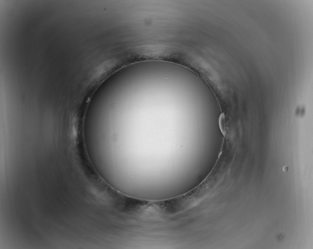 X0000102760115200808251038