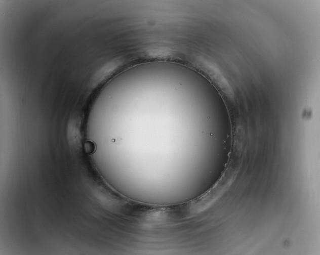 X0000102760116200808251038