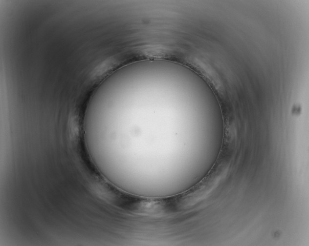 X0000102760117200808251037