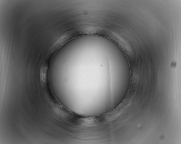 X0000102760118200808251037