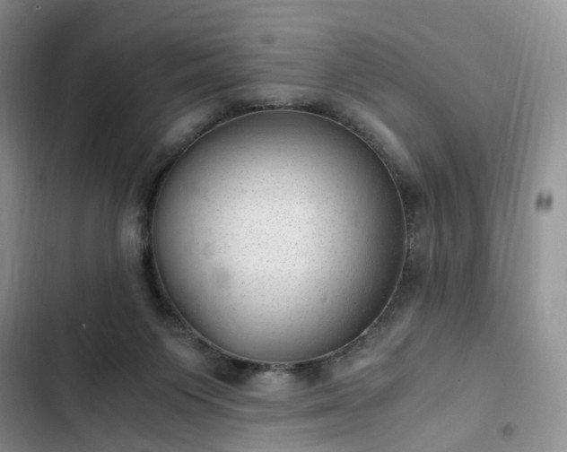 X0000102760119200808251037