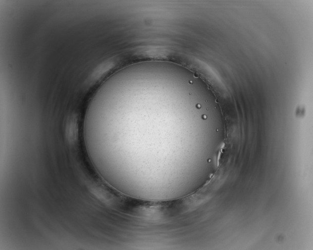 X0000102760120200808251037