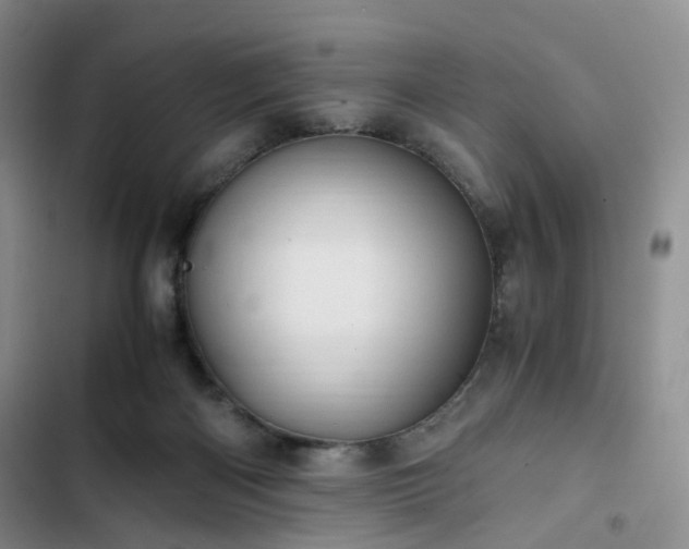 X0000102760122200808251037