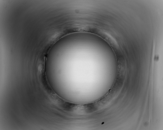 X0000102760123200808251037