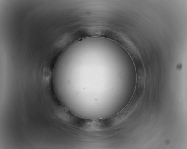 X0000102760125200808251037