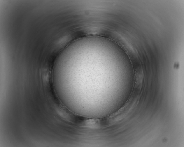 X0000102760126200808251037