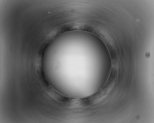 X0000102760127200808251037