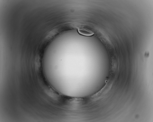 X0000102760128200808251037