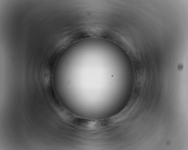 X0000102760130200808251037