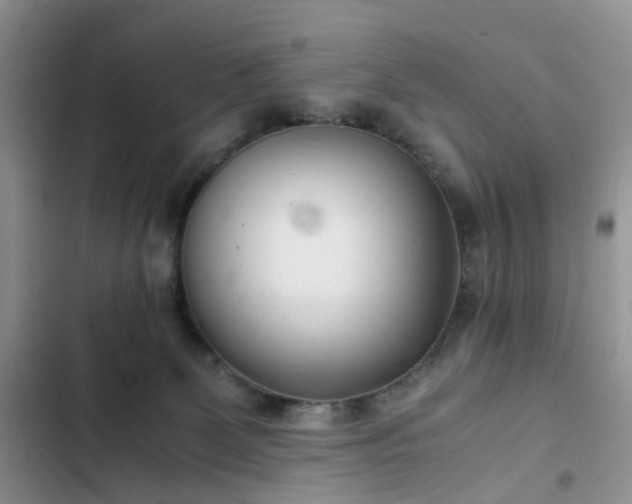 X0000102760131200808251037