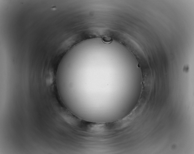 X0000102760132200808251037