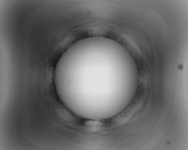 X0000102760133200808251037