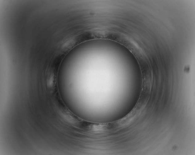 X0000102760134200808251037