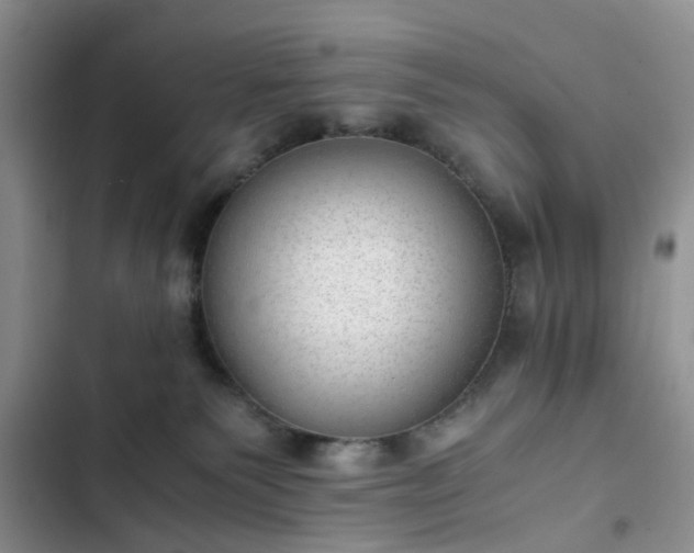 X0000102760135200808251037