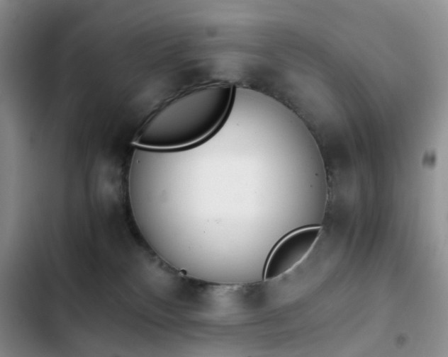 X0000102760136200808251037