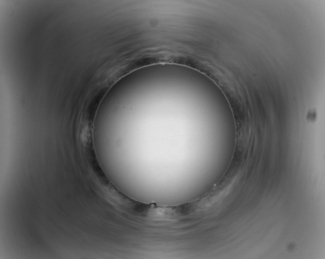 X0000102760137200808251037