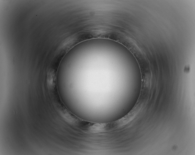 X0000102760138200808251037