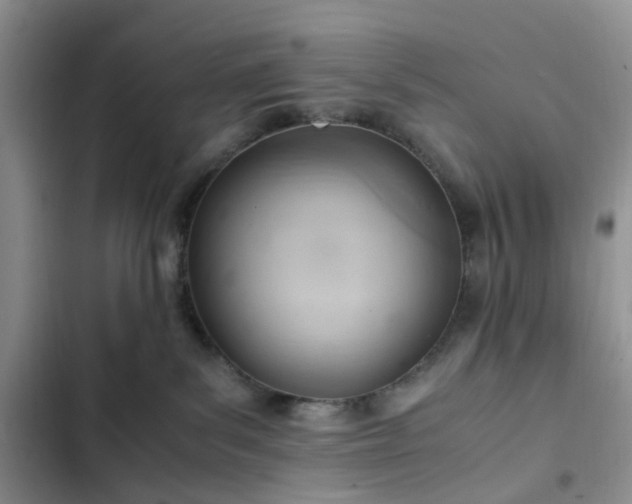 X0000102760139200808251037