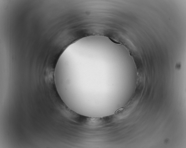 X0000102760141200808251037