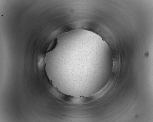 X0000102760142200808251037