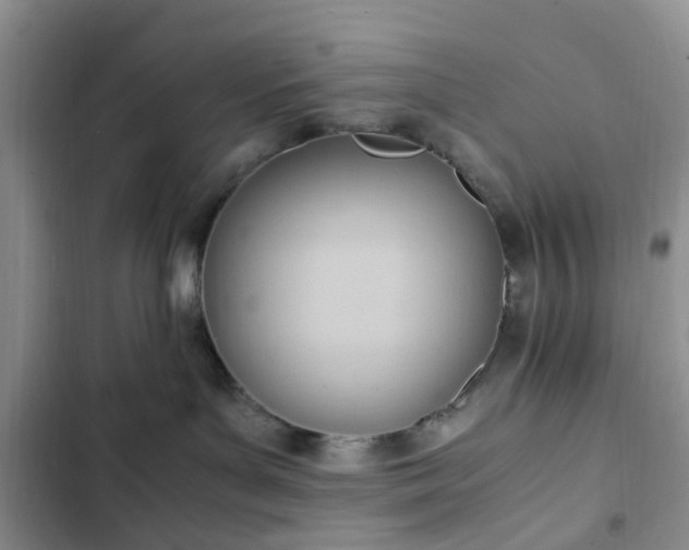 X0000102760143200808251037