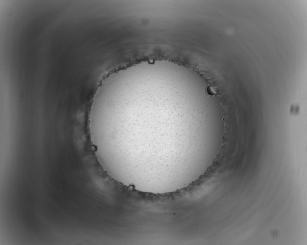 X0000102760144200808251037