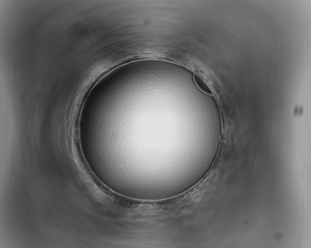 X0000102760145200808251036