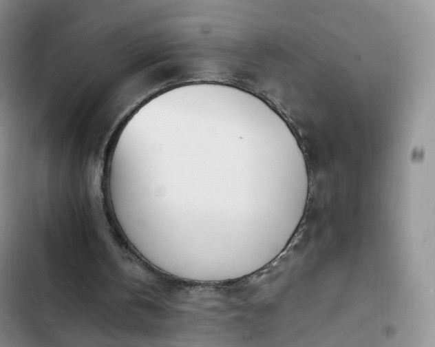 X0000102760146200808251036