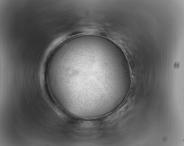 X0000102760149200808251036