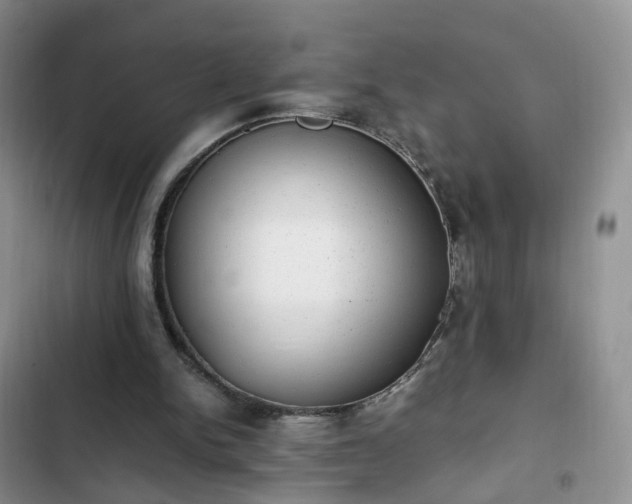 X0000102760150200808251037