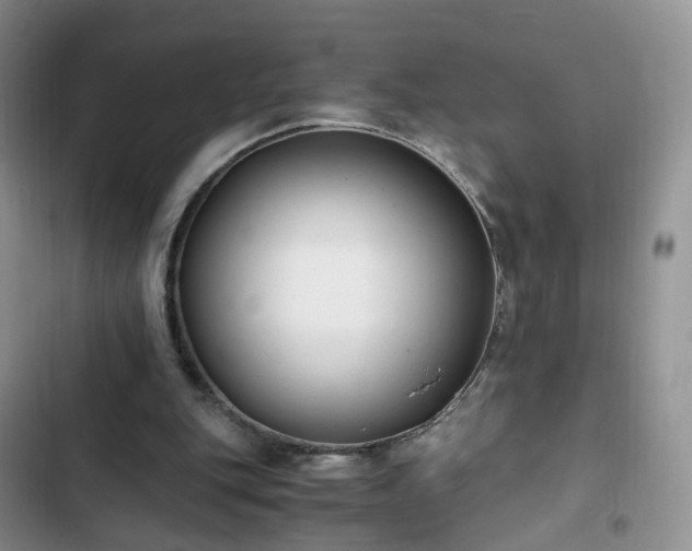 X0000102760151200808251037