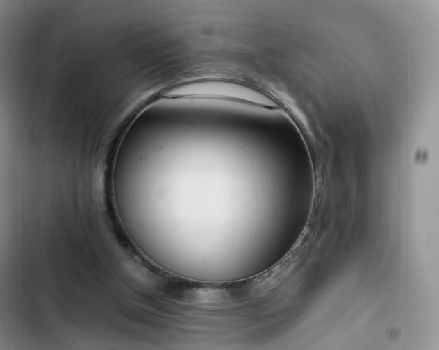 X0000102760154200808251037