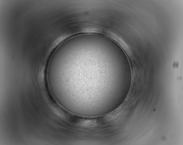 X0000102760155200808251037