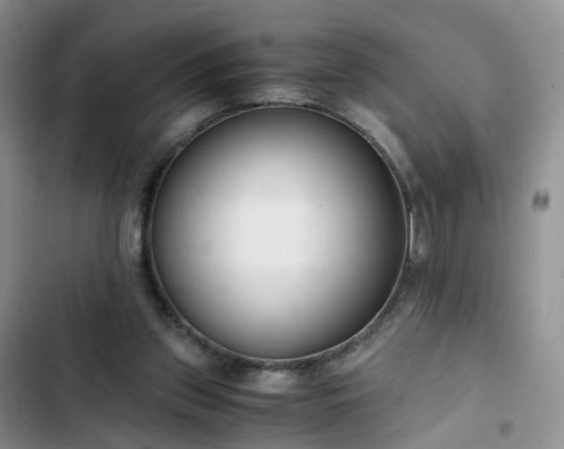 X0000102760157200808251037