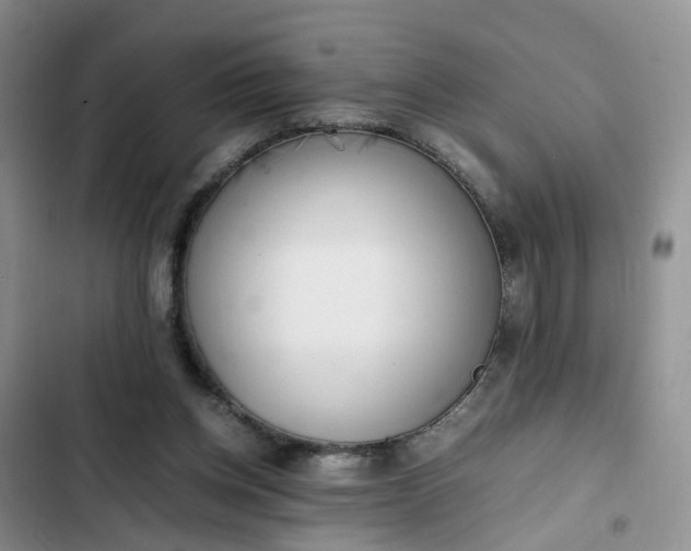 X0000102760158200808251037