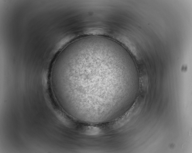 X0000102760159200808251037