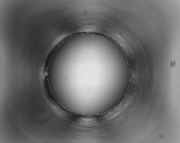 X0000102760160200808251037