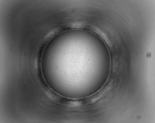 X0000102760161200808251037